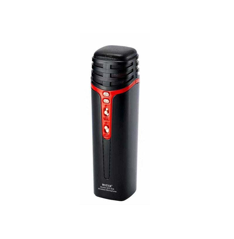 Ασύρματο μικρόφωνο Karaoke  – WS-838 - 868380